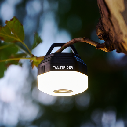 Starburst light